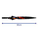 Umbrella RedBull Racing