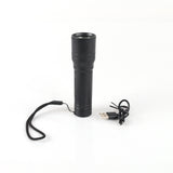 Flashlight LED