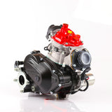 Rotax 125 Max DD2 (Engine only)